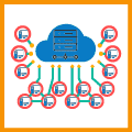 Network Operations Service