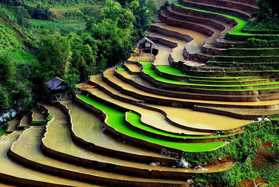 Sapa Travel